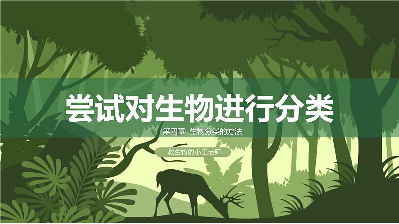 2.4.1尝试对生物进行分类课件人教版生物七年级上册2024新教材01