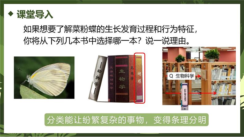 2.4.1尝试对生物进行分类课件人教版生物七年级上册2024新教材03