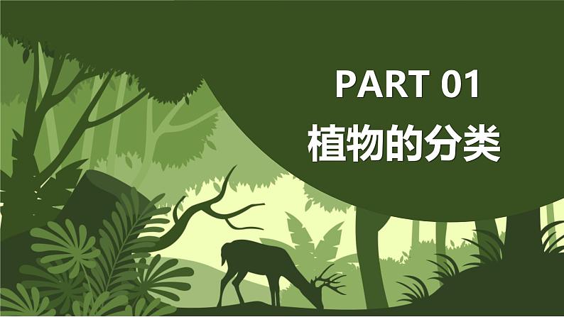 2.4.1尝试对生物进行分类课件人教版生物七年级上册2024新教材05