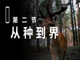 2.4.2从种到界课件人教版生物七年级上册2024新教材