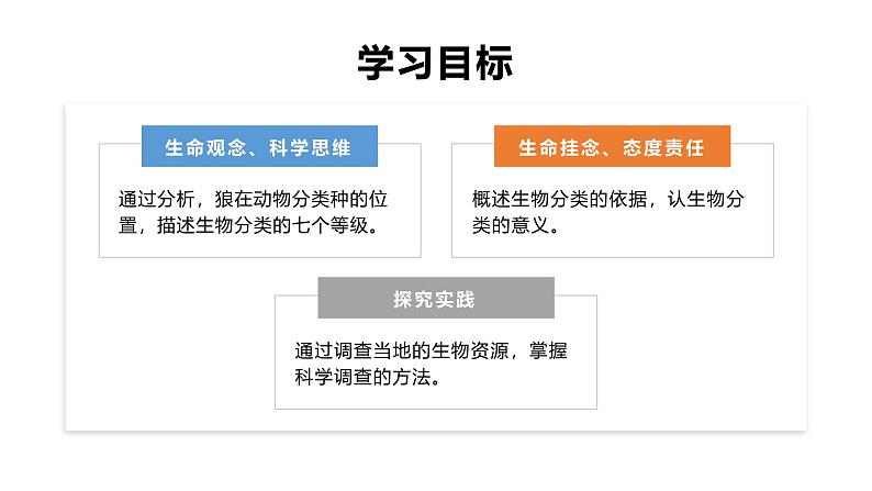 2.4.2从种到界课件人教版生物七年级上册2024新教材02