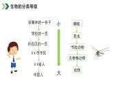 2.4.2从种到界课件人教版生物七年级上册2024新教材