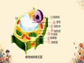 人教版（2024）生物七年级上册1.2.3《动物细胞》课件