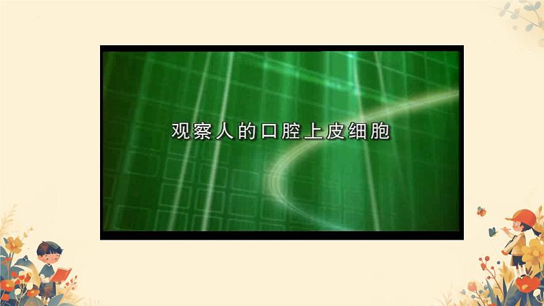 人教版（2024）生物七年级上册1.2.3《动物细胞》课件05