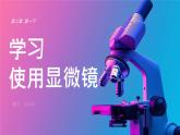 人教版（2024）生物七年级上册1.2.1《学习使用显微镜》课件