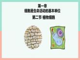 人教版（2024）生物七年级上册1.2.2《植物细胞》（课件）