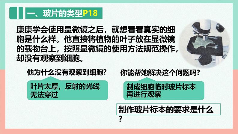 人教版（2024）生物七年级上册1.2.2《植物细胞》（课件）05