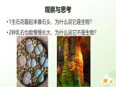 人教版（2024）生物七年级上册1.1.2《生物的特征》课件