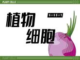 人教版（2024）生物七年级上册1.2.2《植物细胞》课件