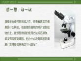 人教版（2024）生物七年级上册1.2.2《植物细胞》课件