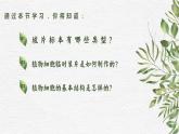 人教版（2024）生物七年级上册1.2.2《植物细胞》课件