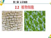 人教版（2024）生物七年级上册 2.2《植物细胞》课件