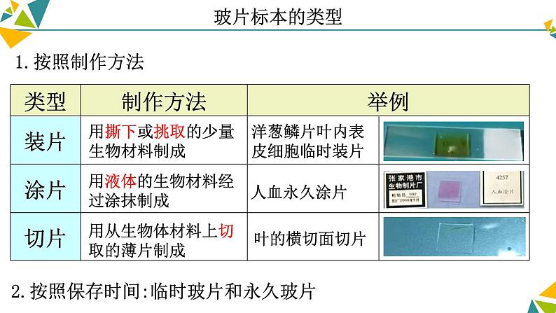 人教版（2024）生物七年级上册《植物细胞》课件03