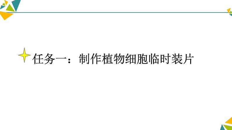 人教版（2024）生物七年级上册《植物细胞》课件05