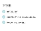人教版生物八年级上册5.1.6《鸟》课件
