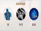 人教版生物八年级上册5.2.1《动物的运动》课件