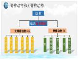 5.1.4鱼课件-2024-2025学年人教版生物八年级上册