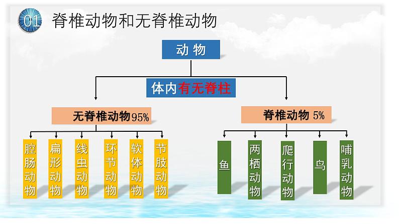 5.1.4鱼课件-2024-2025学年人教版生物八年级上册05