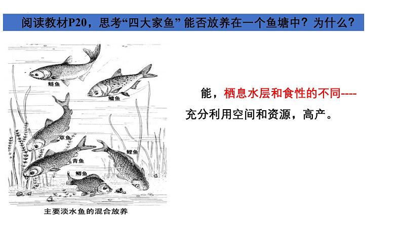 5.1.4鱼课件-2024-2025学年人教版生物八年级上册08