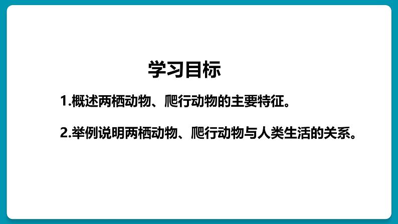 人教版生物八年级上册5.1.5《两栖动物和爬行动物》第3页