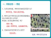 人教版生物八年级上册5.1.5《两栖动物和爬行动物》（课件）