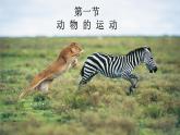 人教版生物八年级上册2.1《动物的运动》课件