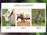 人教版生物八年级上册2.2《先天性行为和学习行为》课件