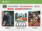 人教版生物八年级上册2.2《先天性行为和学习行为》课件