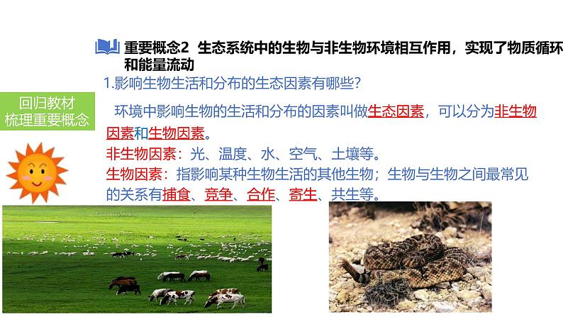 2025中考生物一轮复习课件 第1讲 生物及生物与环境的关系课件06