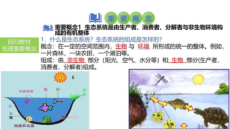 2025中考生物一轮复习课件 第2讲 生态系统课件第4页