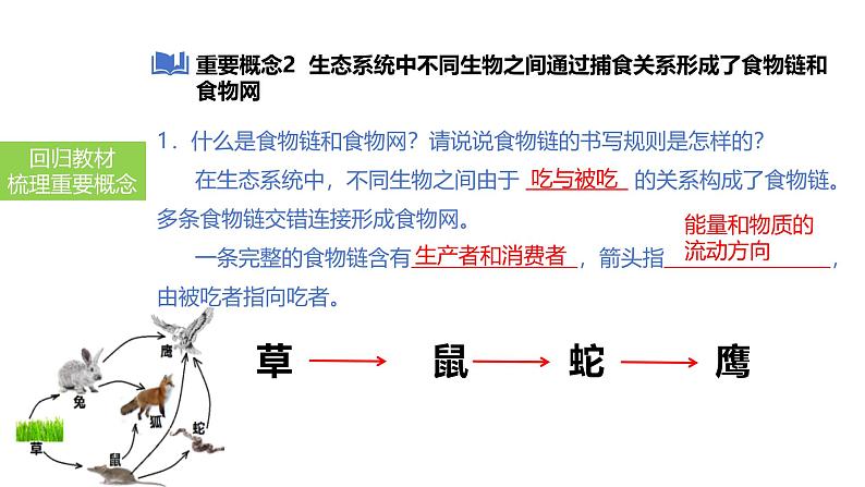 2025中考生物一轮复习课件 第2讲 生态系统课件第6页