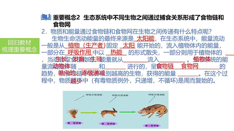 2025中考生物一轮复习课件 第2讲 生态系统课件第7页