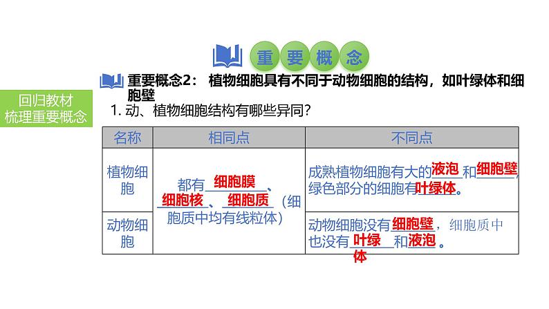 2025中考生物一轮复习课件 第4讲 细胞的结构及功能、细胞的生活课件07