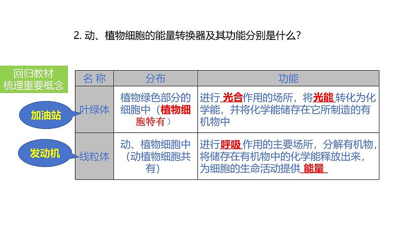 2025中考生物一轮复习课件 第4讲 细胞的结构及功能、细胞的生活课件08