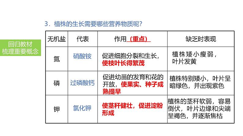 2025中考生物一轮复习课件 第7讲 种子的萌发与植株的生长课件第8页