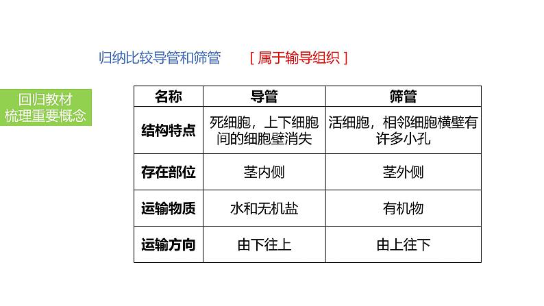 2025中考生物一轮复习课件 第9讲 绿色植物与生物圈的水循环课件第6页