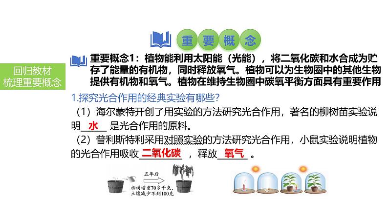 2025中考生物一轮复习课件 第10讲 绿色植物的光合作用课件第4页