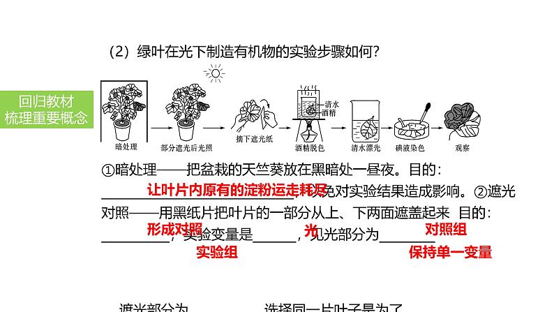2025中考生物一轮复习课件 第10讲 绿色植物的光合作用课件第6页