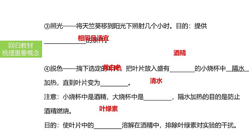 2025中考生物一轮复习课件 第10讲 绿色植物的光合作用课件第7页