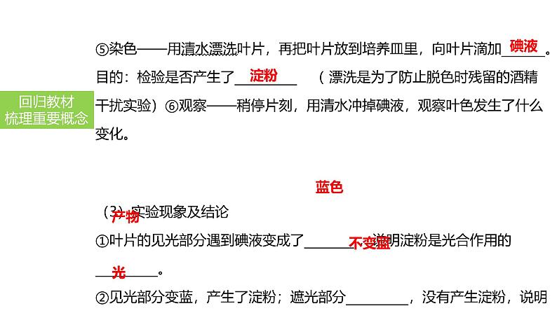 2025中考生物一轮复习课件 第10讲 绿色植物的光合作用课件第8页