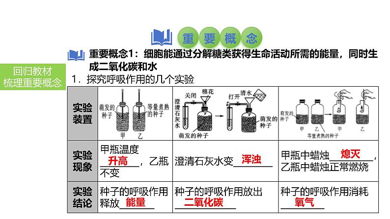 2025中考生物一轮复习课件 第11讲 绿色植物的呼吸作用课件03