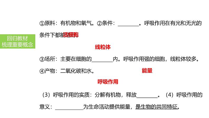 2025中考生物一轮复习课件 第11讲 绿色植物的呼吸作用课件05