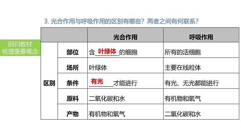 2025中考生物一轮复习课件 第11讲 绿色植物的呼吸作用课件08