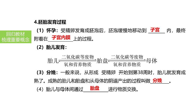 2025中考生物一轮复习课件 第12讲 人的由来、人类活动对生物圈的影响课件07