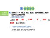 2025中考生物一轮复习课件 第13讲 食物中的营养物质、合理营养与食品安全课件