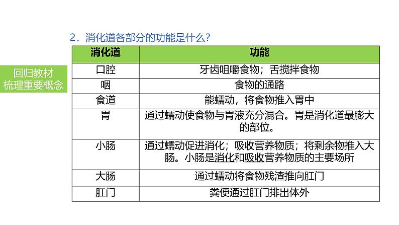 2025中考生物一轮复习课件 第14讲 消化和吸收课件04