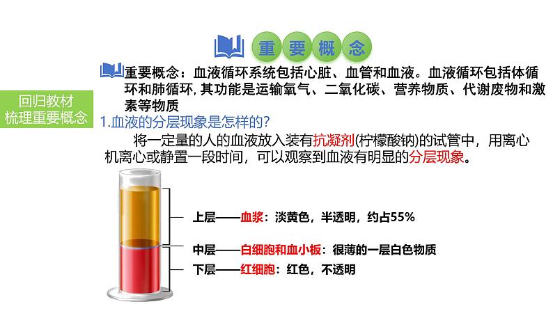 2025中考生物一轮复习课件 第16讲 血液、血管、输血与血型课件第3页