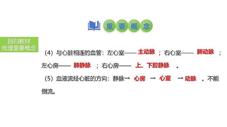 2025中考生物一轮复习课件 第17讲 心脏和血液循环课件第5页