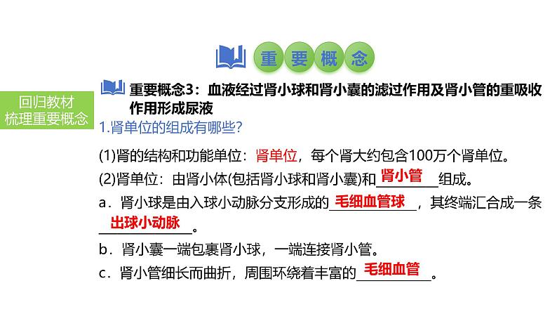 2025中考生物一轮复习课件 第18讲 人体内废物的排出课件第6页