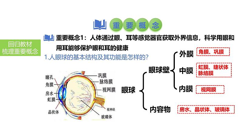 2025中考生物一轮复习课件 第19讲 人体对外界环境的感知、神经系统的组成课件第3页